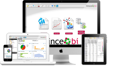 Lince Bi. Business Intelligence in the cloud